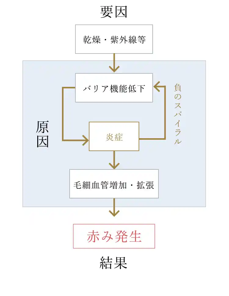 要因・原因・結果、赤ら顔や酒さ、毛細血管拡張症は負のスパイラルにより発生。それを治療するには原因から治す必要があります