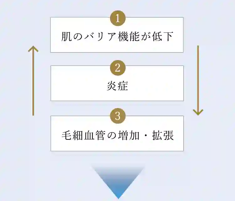 1.肌のバリア機能が低下　2.炎症　3.毛細血管の増加・拡張