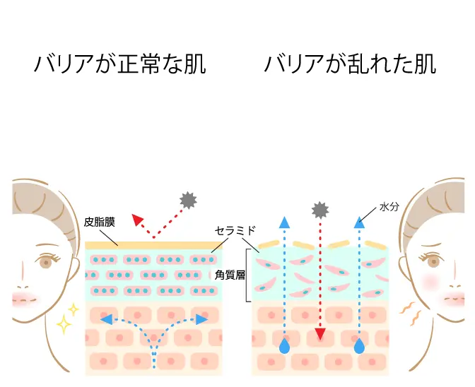 セラミド配合の画像